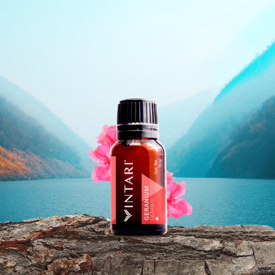 Imagen de Geranium