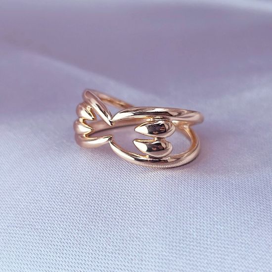 Imagen de Anillo Prosperidad Talla 8