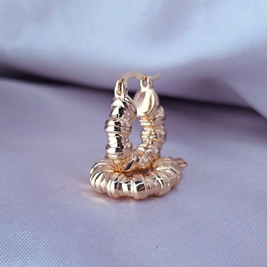 Imagen de Arracada Caracol de Oro