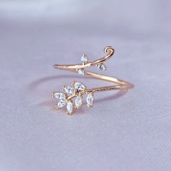 Imagen de Anillo Abundancia