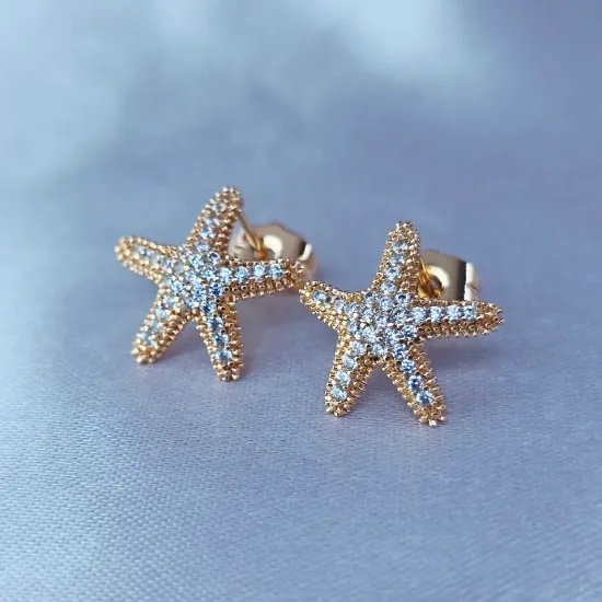 Imagen de Broquel Estrella de Mar de Lujo