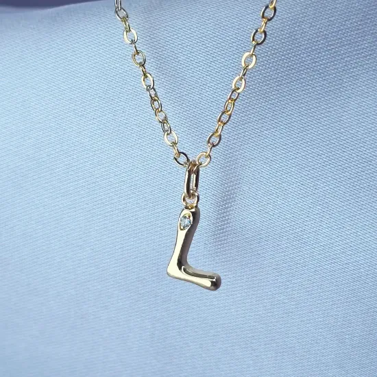 Imagen de Collar con Pequeño Brillo Inicial L Talla 4501