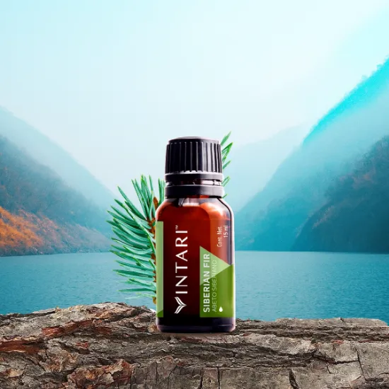 Imagen de Siberian Fir