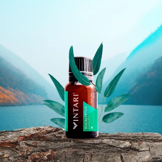 Imagen de Eucalyptus