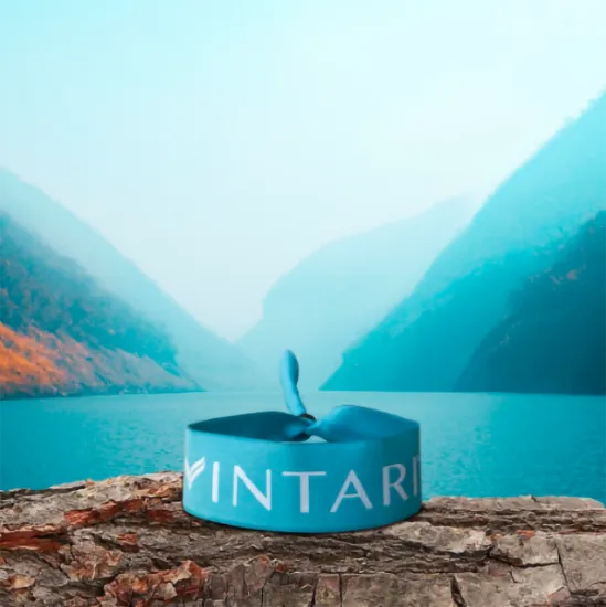 Imagen de Pulsera Vintari