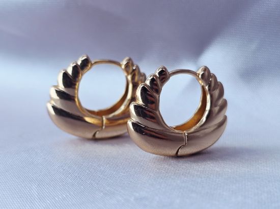 Imagen de Arracada Planta de Oro