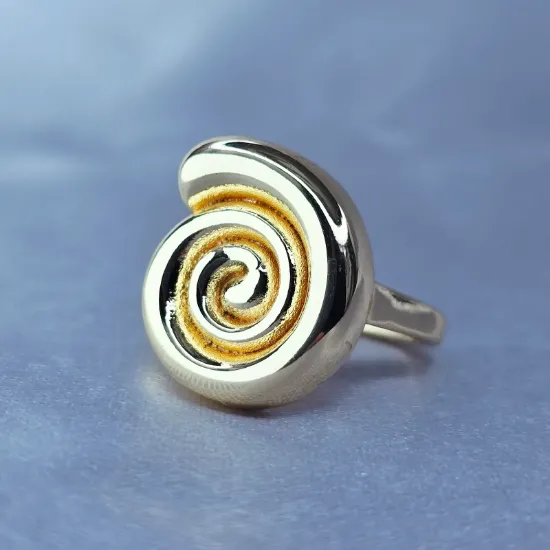 Imagen de Anillo Rollo de Oro