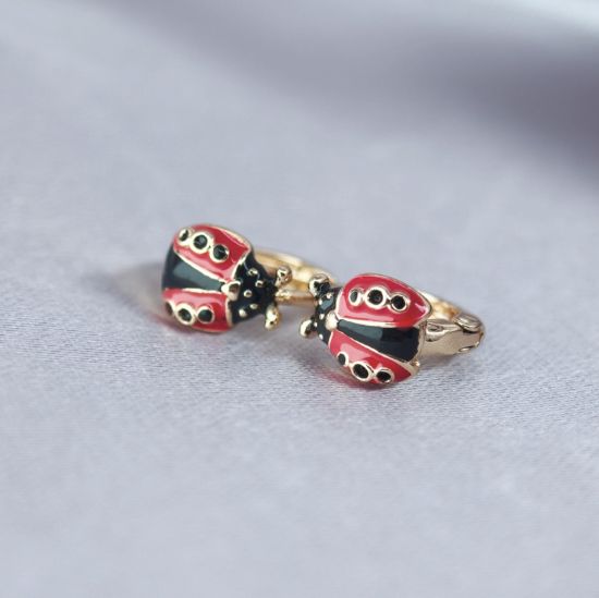 Imagen de Huggie Ladybug